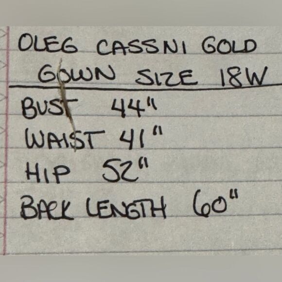 Oleg Cassini Grecian Goddess plus size 18W long gown - Picture 6 of 6